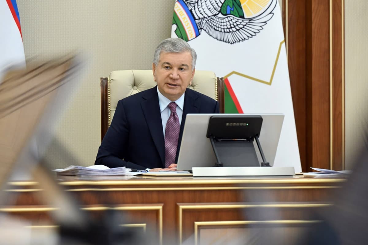 Uzbekistan expands youth business programs and dual education to counter graduate unemployment