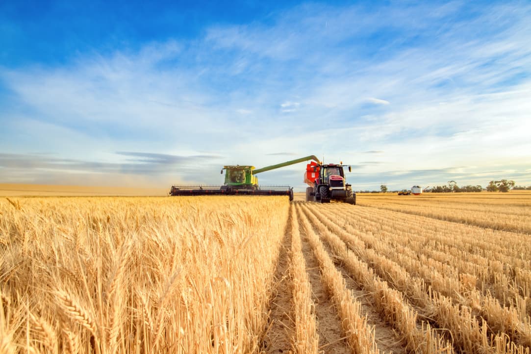 World Bank approves $150 million to upgrade rural infrastructure across Uzbekistan