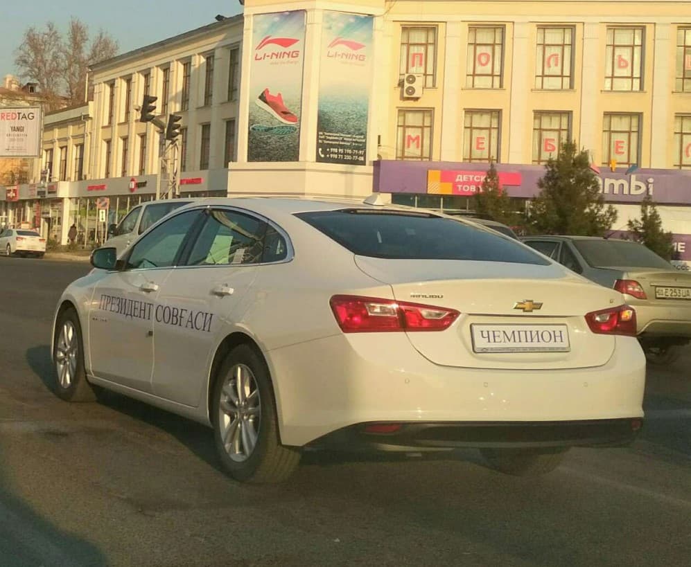 O‘zbekistonda Malibu’ni kimlar minadi? 