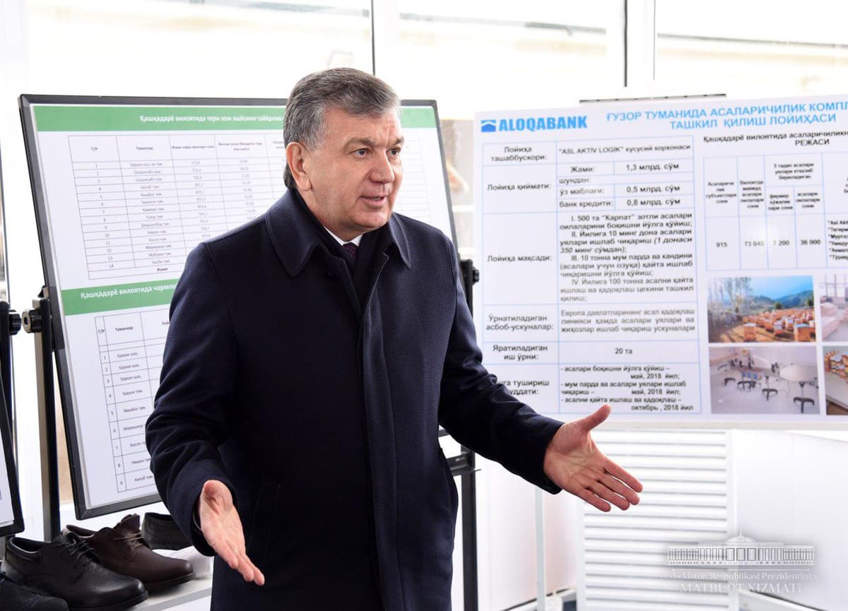 Prezident Qashqadaryoda qishloq xo‘jaligini rivojlantirish loyihalari bilan tanishdi