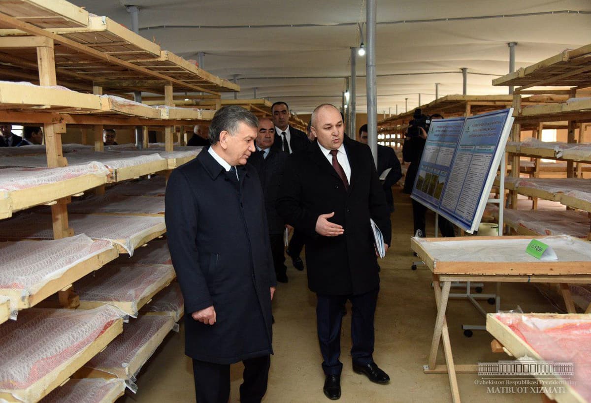 Shavkat Mirziyoyev Surxondaryoda innovatsion pillaxona bilan tanishdi