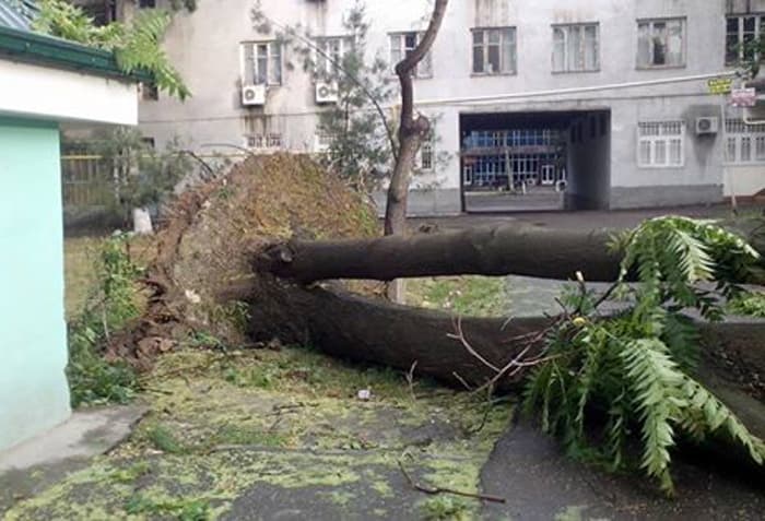 Gidrometeorologiya markazi shamol tezligi kuchayishi mumkinligidan ogohlantirdi