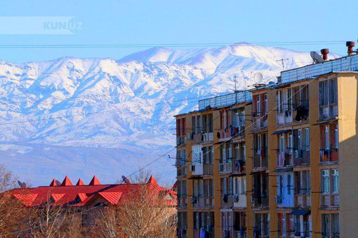 Toshkent shahridagi doktorantlar propiskasi bo‘lmasa ham arzon uy-joy sotib olishlari mumkinmi?