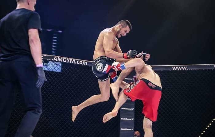 O‘zbekistonda MMA federatsiyasi tashkil etildi