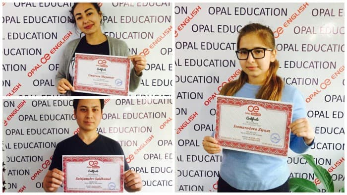 Opal English yoz fasli uchun haftada 5-7 kunlik intensiv IELTS va ingliz tili darslarini taklif qiladi