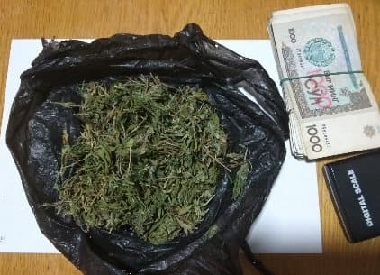 Jizzaxdagi fermer xo‘jaligi shiyponidan 1,5 kilogrammdan ortiq marixuana topildi