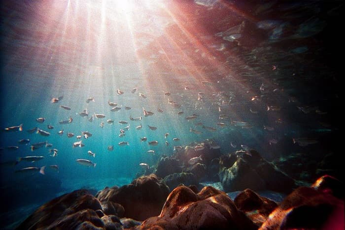 Lomografiyaning 10 oltin qoidasi