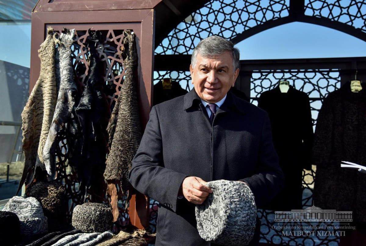 Президент қоракўлчилик соҳаси ривожига салбий таъсир кўрсатаётган ҳолатларни белгилаб берди