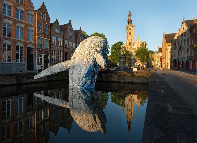 Belgiyada chiqindilardan yasalgan kit haykali paydo bo‘ldi