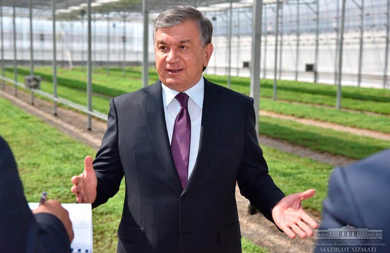 Prezident qarori bilan issiqxonalarga imtiyozlar berildi