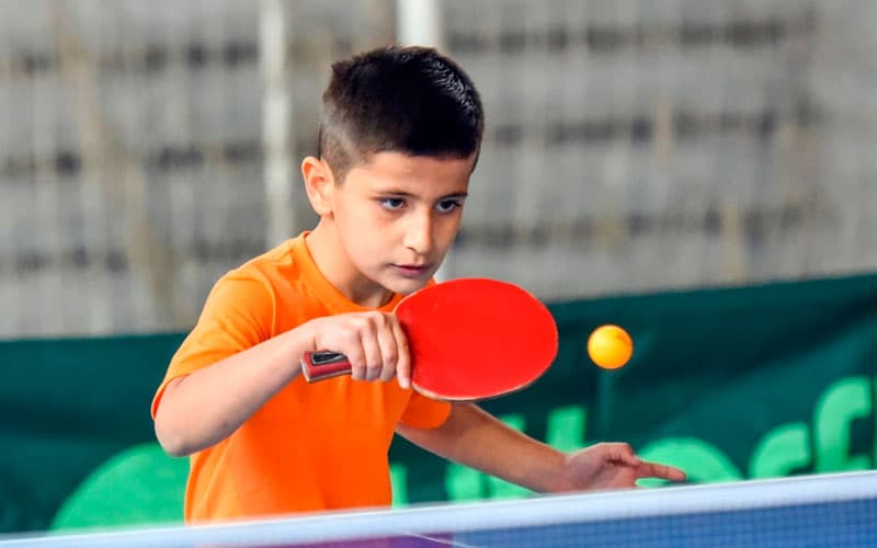Hukumat qarori: pullik xizmat ko‘rsatuvchi sport to‘garaklari tashkil etiladi