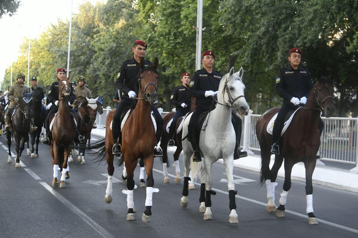 Toshkentda otlar paradi o‘tdi