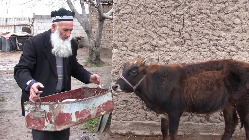 Tojikistonlik pensioner maktabni ta'mirdan chiqarish uchun bor-yo‘g‘ini berdi