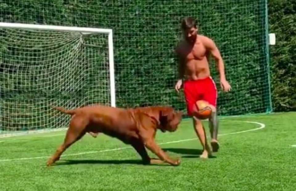 Messi it bilan futbol o‘ynadi