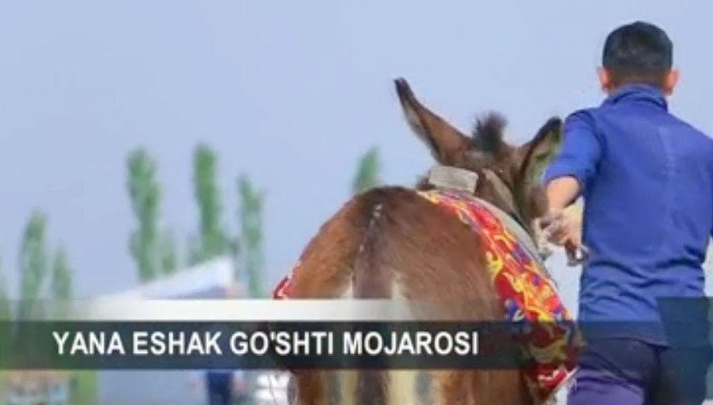 Farg‘onada eshak so‘yib sotgan yana bir qassob qo‘lga tushdi