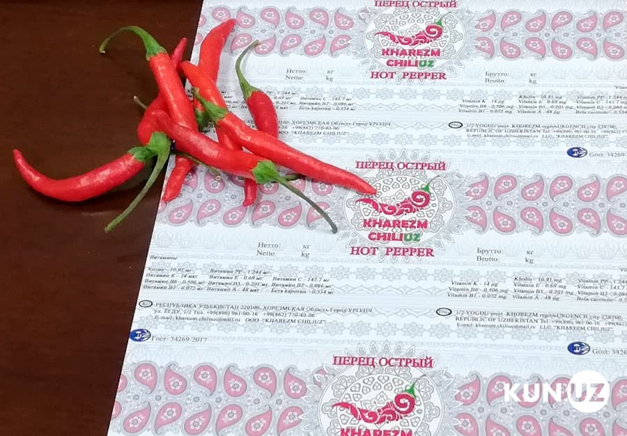 Fermerning mehnati o‘zini oqlaydimi? - Xorazm viloyatida achchiq qalampir yetishtirish muammolari