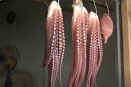 Biror marta adashmagan “bashoratchi” sakkizoyoq nimtalab sotib yuborildi
