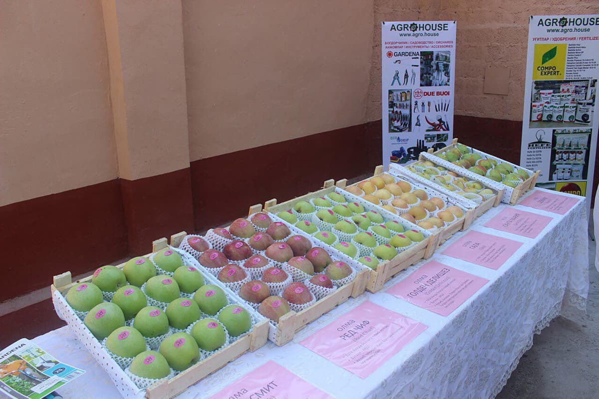 Agro House intensiv boğdorçilik böyiça boğbonlar va fermerlar uçun seminar ötkazdi