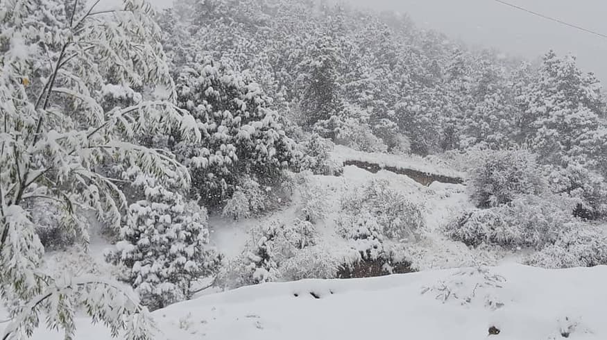 Foto: O‘zbekistonda birinchi qor yog‘di
