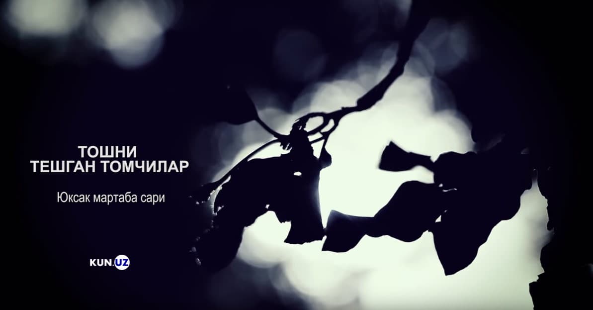 Тошни тешган томчилар: Юксак мартаба сари