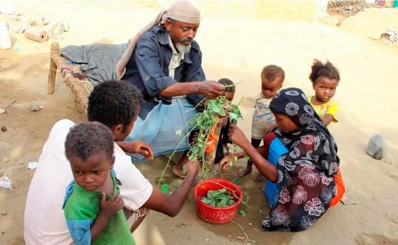 «Odamlar o‘tlarni yeyishmoqda». BMT Yamandagi vaziyat haqida ma'lum qildi