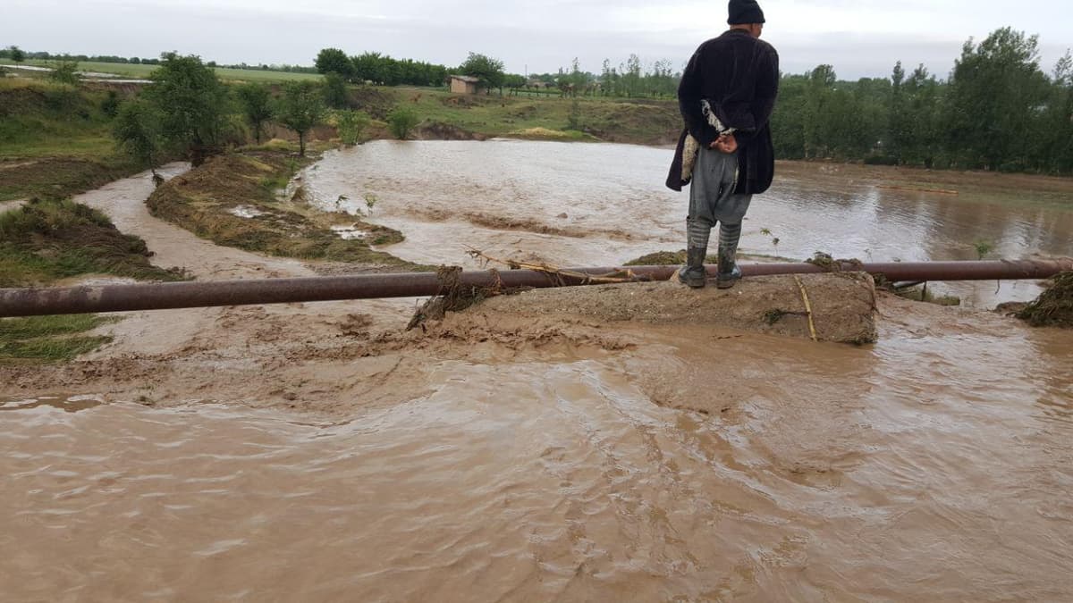 Kosonsoy tumanida sel sababli 543 ta hovli qisman suv ostida qoldi
