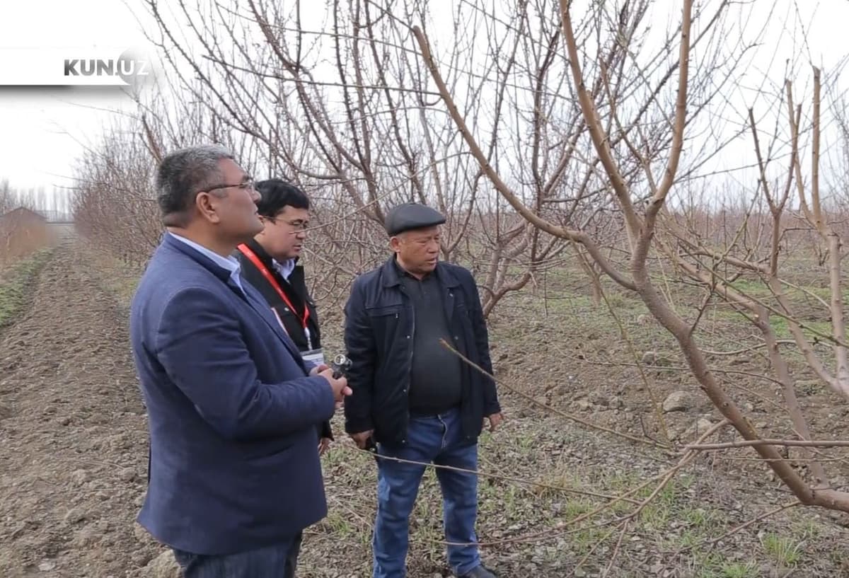 Asakalik bog‘bon: «Daraxtlar ham mening jigarlarim»