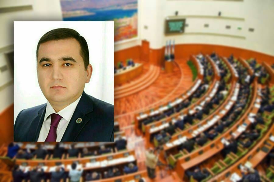Deputat: "Daraxtxo‘r" manqurtlar bizda qanday ko‘payib ketdi?