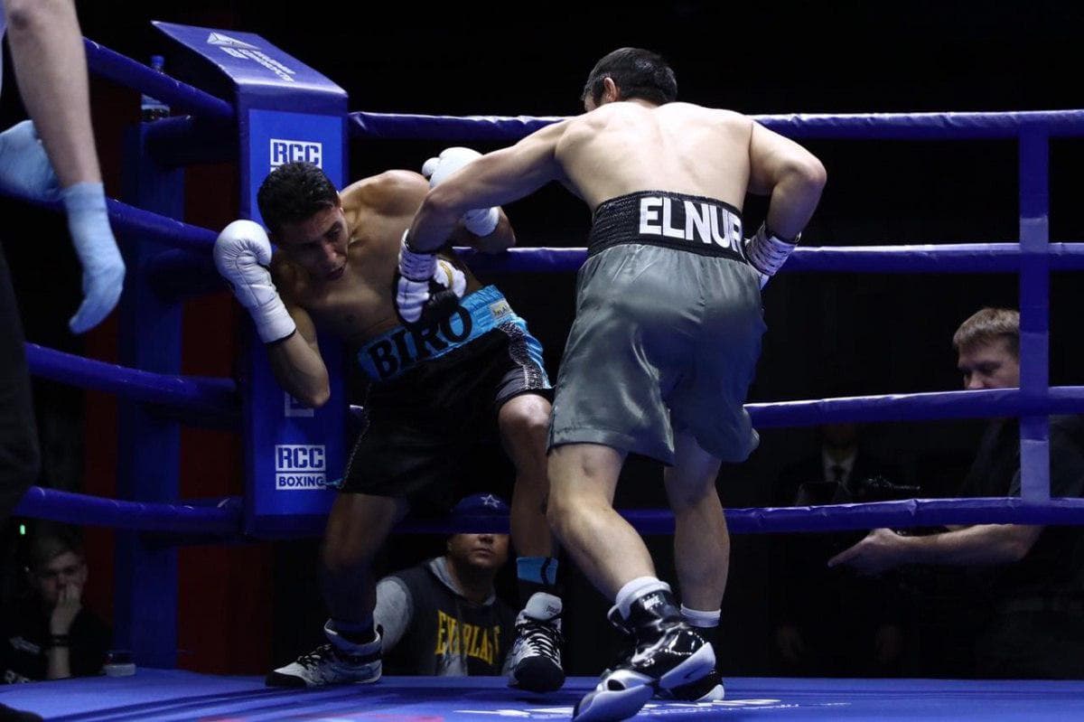 Elnur Abduraimov professional boksdagi uchinchi jangida ham raqibini nokautga uchratdi