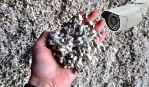 Kuzatuv kamerasini o‘chirib qo‘yib, chigitni talon-taroj qilgan mansabdor shaxslar qo‘lga olindi