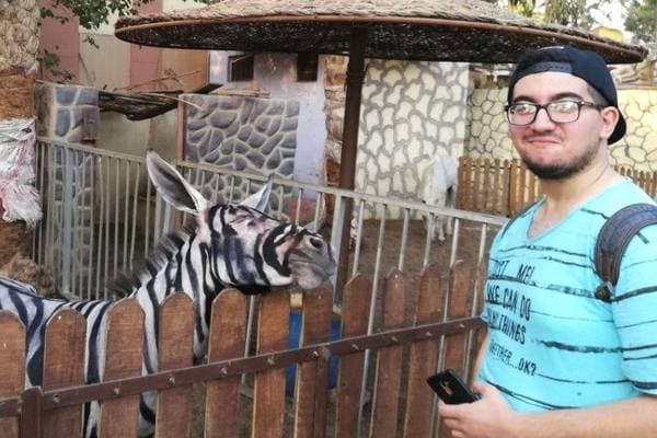 Qohiradagi hayvonot bog‘i eshaklarni bo‘yab qo‘yib, zebralar sifatida ko‘rsatdi