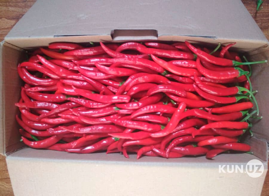 Export of chili peppers exceeds export of cars by three times