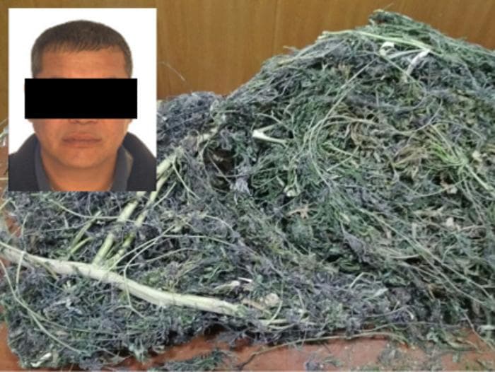 Tomorqada 2 kilogrammdan ortiq marixuana saqlanayotgan shaxs aniqlandi