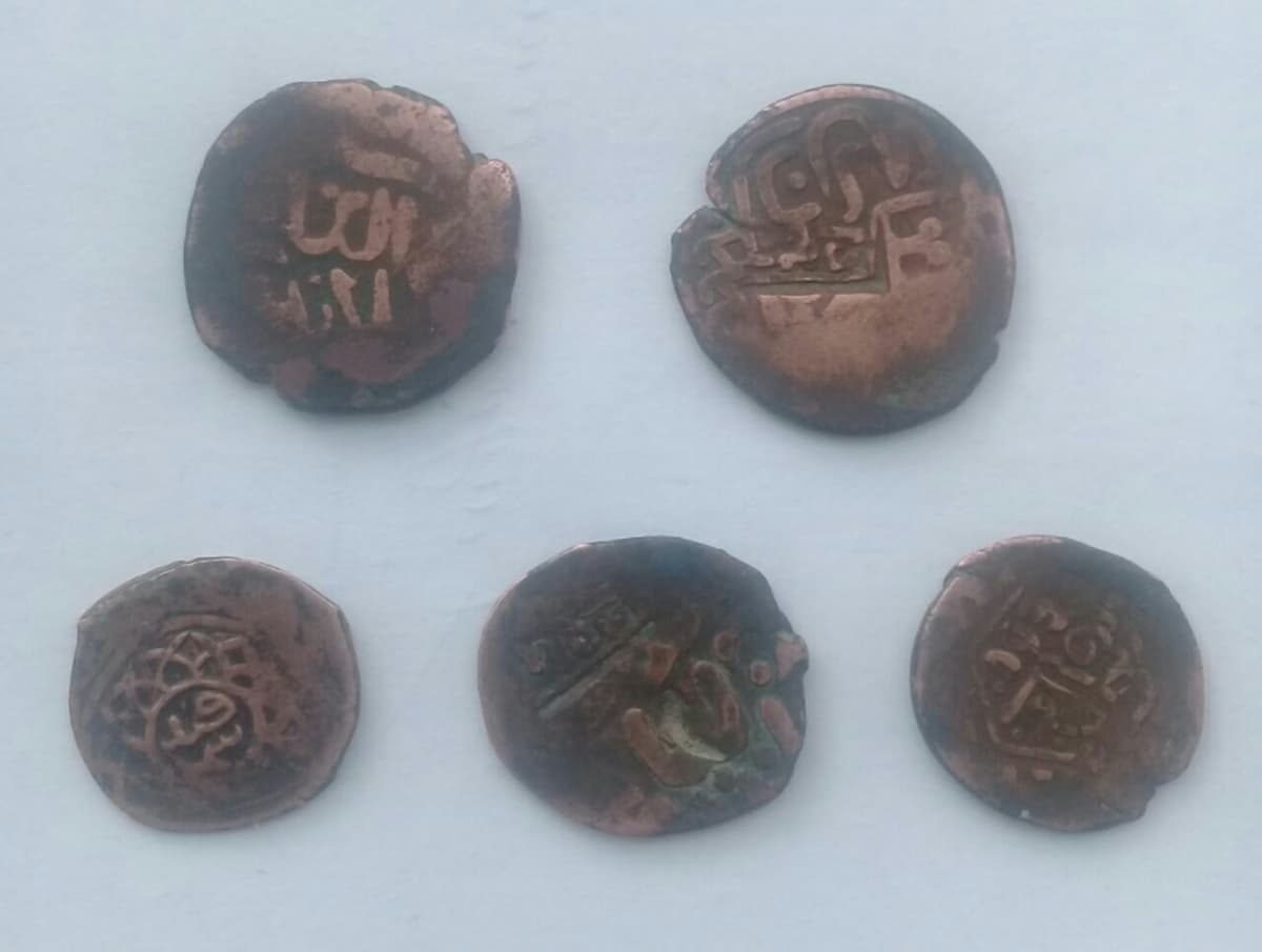 Jomboyda temuriylar davrida zarb etilgan tangalar topildi