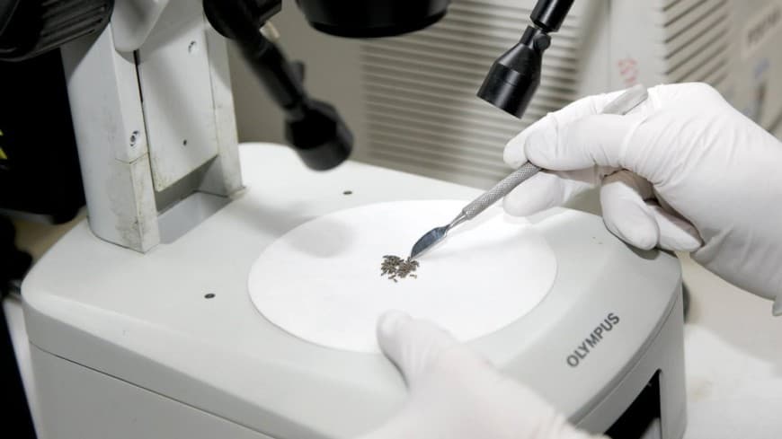 Bemorning hujayralaridan teri bosuvchi bioprinter yaratildi