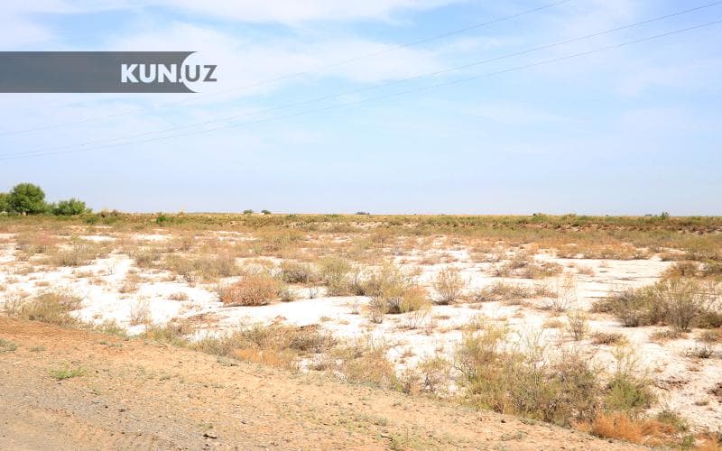Cho‘llanish va qurg‘oqchilikka qarshi kurashish bo‘yicha «Yo‘l xaritasi» tasdiqlanadi