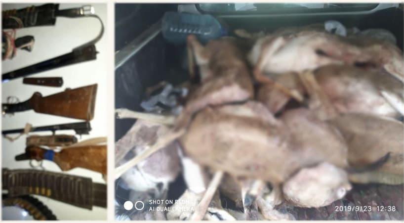 В Каракалпакстане двое браконьеров застрелили 13 джейранов, занесенных в Красную книгу