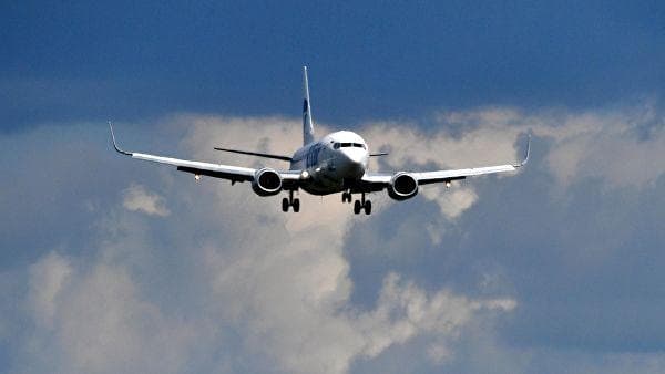 Кичик отнинг самолётда йўловчилар орасида ташилиши фойдаланувчиларни ажаблантирди