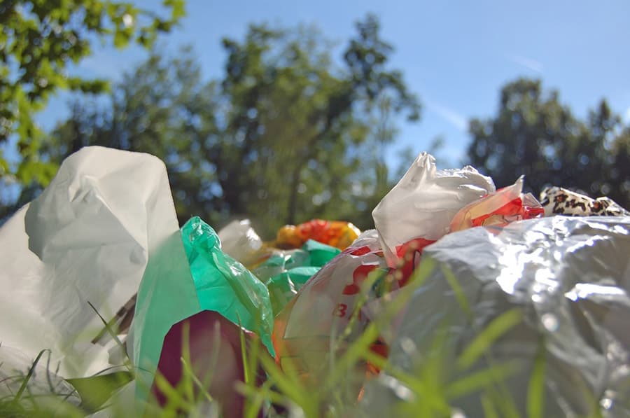 Ecological Party of Uzbekistan proposes replacing traditional plastic bags with biodegradable ones