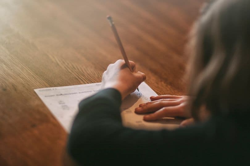 Internetda aqllilik darajasini baholash uchun eng qisqa test e'lon qilindi   