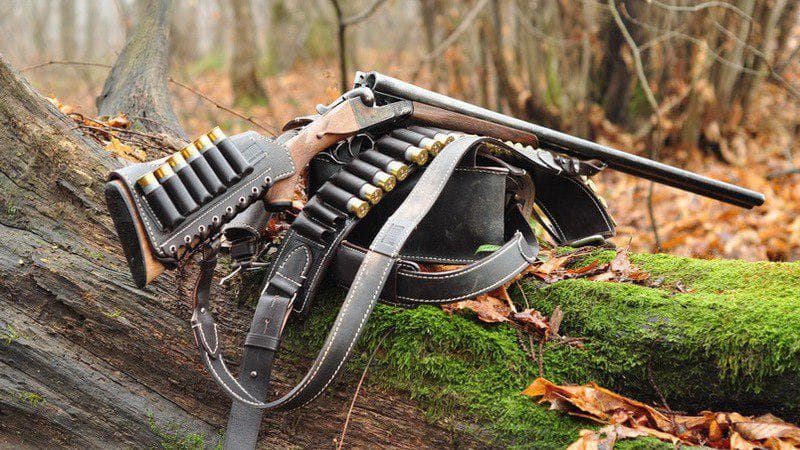 Law on weapons in detail