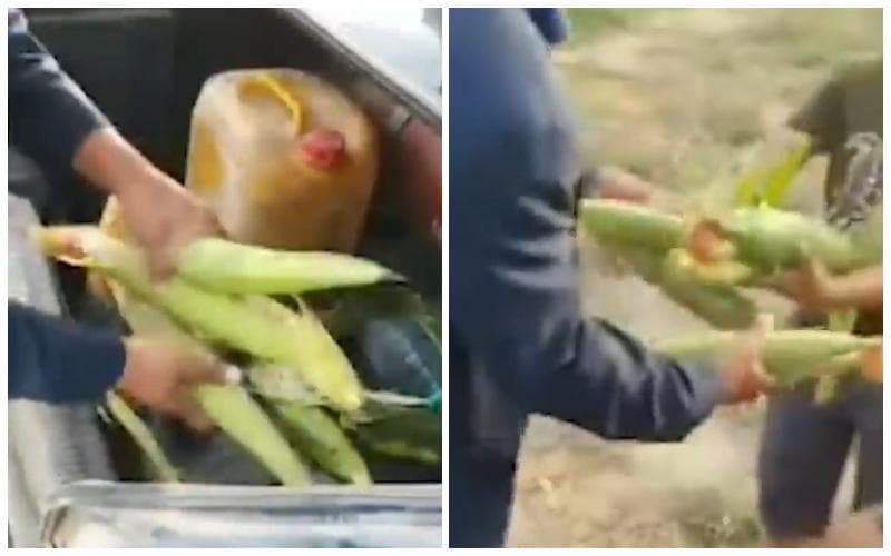 Прокуратура прокомментировала видео, на котором хоким оскорбил мужчину за кражу кукурузы