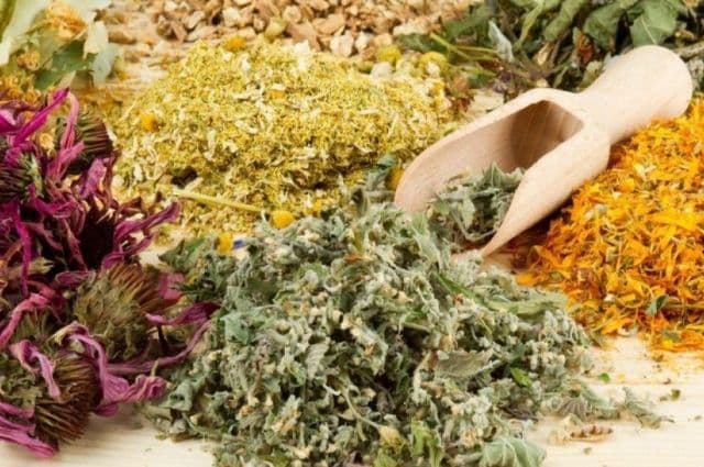 Xalq tabobati bilan shug‘ullanmoqchi bo‘lgan shaxslar sertifikat olishi talab etiladi