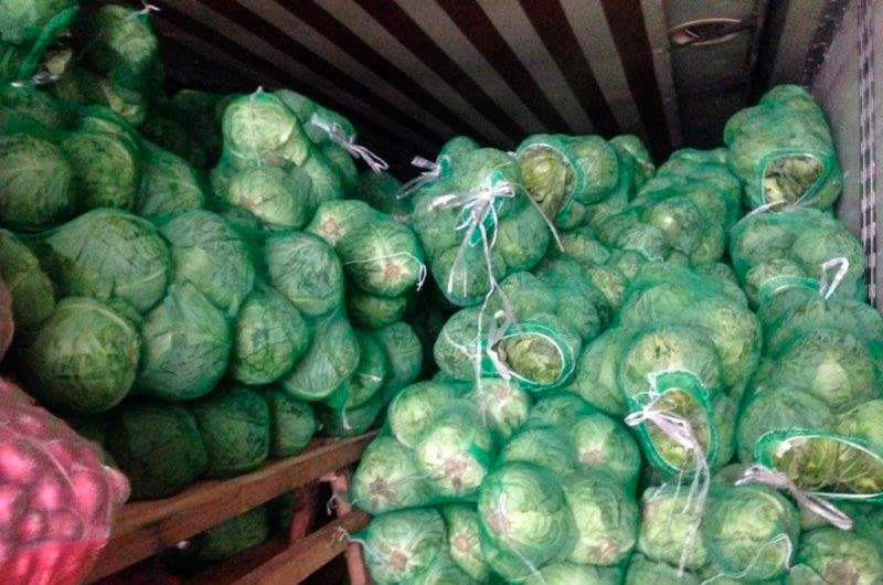 Петербургга Ўзбекистондан олиб келинган 20 тонна редиска ва карам киритилмади