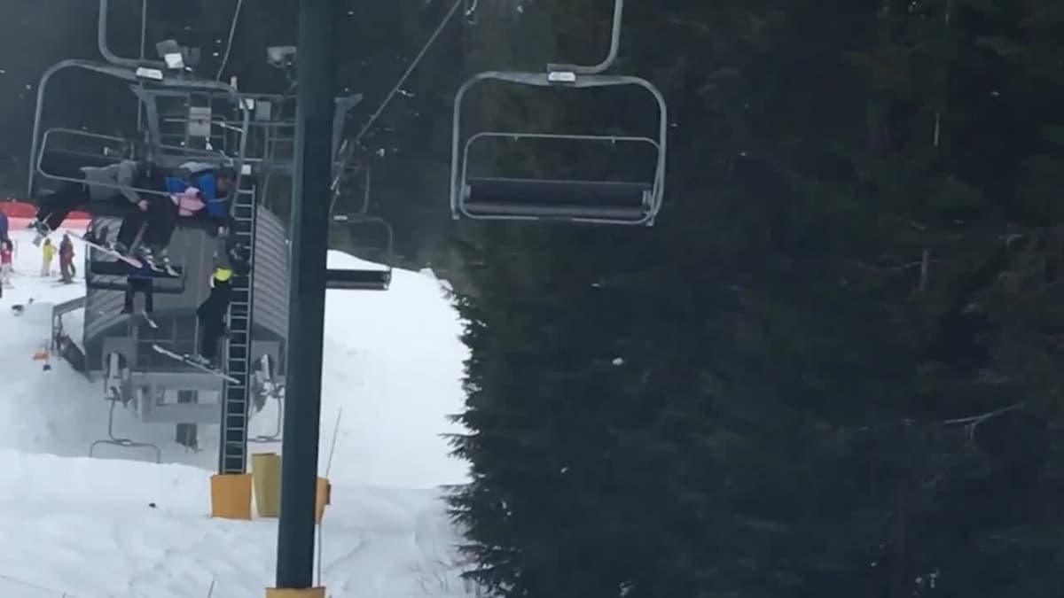 Kattalar talmovsirab turgan vaqtda o‘smirlar yordamga oshiqishdi (video)
