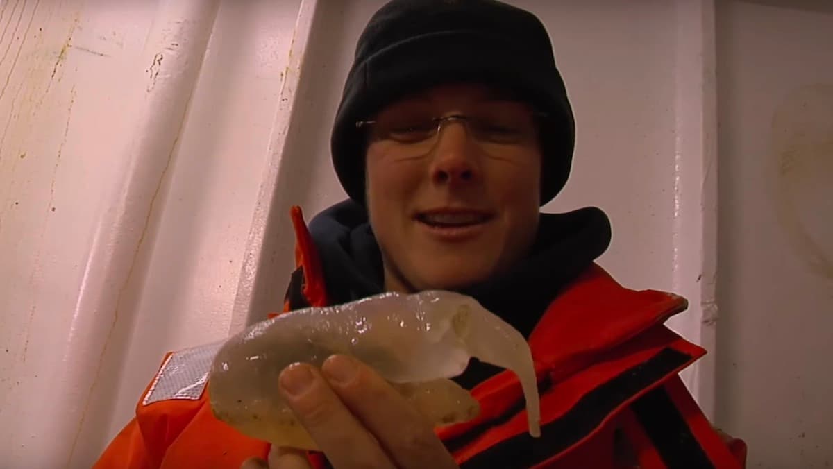 Antarktikada antiqa mavjudot aniqlandi