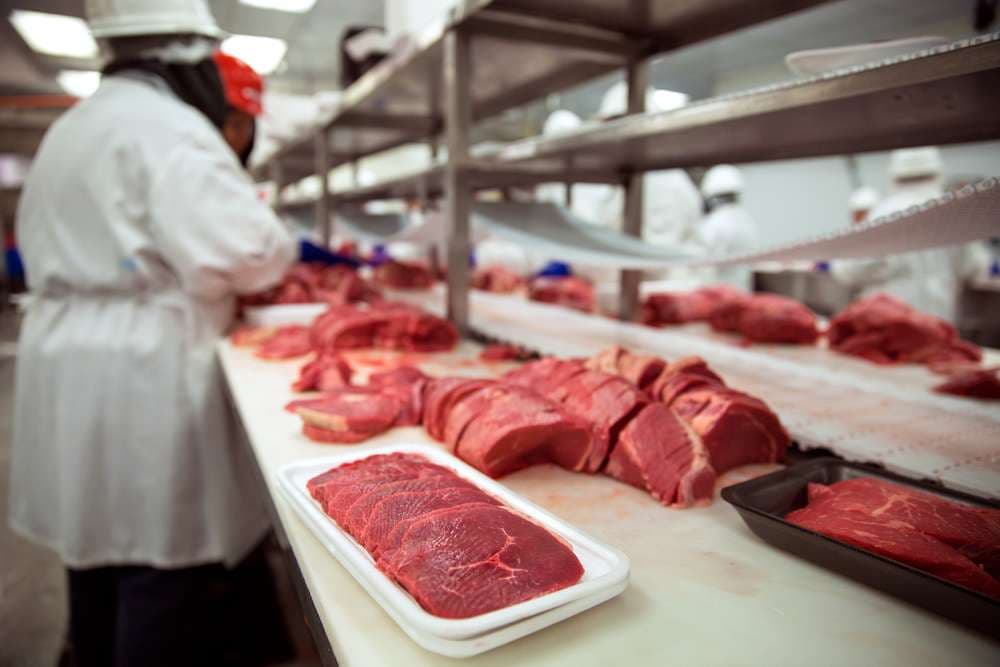 Chinese DELMOR to invest in establishment of meat and dairy cluster in Jizzakh region