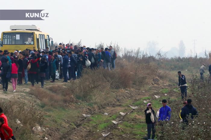 Paxta yig‘im-terimi mavsumida YTH sonini kamaytirishning «yangi» usuli taklif etildi