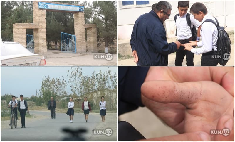 Kogondagi paxta paykalida yurgan maktab bolalari: ularni kim majburlab terimga olib chiqqan?