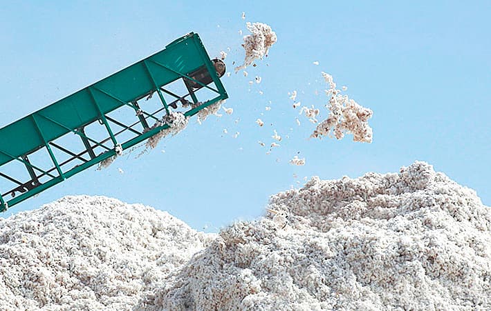 «Angor paxta tozalash» AJ direktoriga hukm o‘qildi. U 2,5 milliard so‘mga yaqin mablag‘ni talon-toroj qilgan